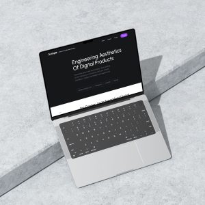 Developer private website